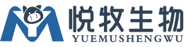 1600419952.png